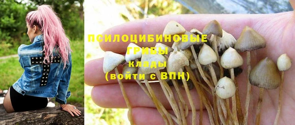 гидропоника Алексин